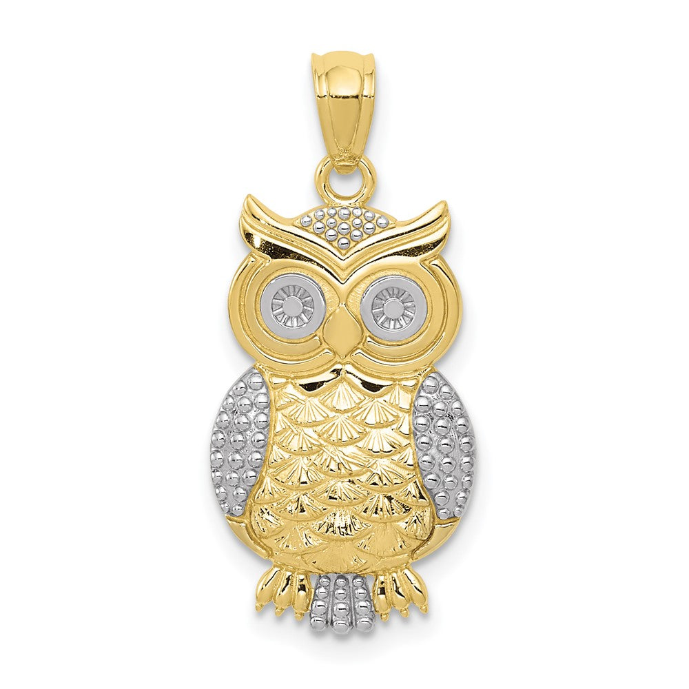 10K & Rhodium Polished & Textured Owl Pendant